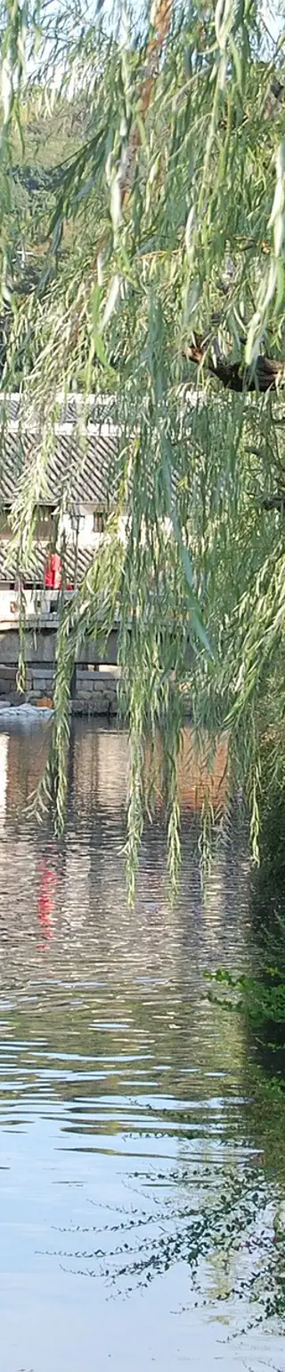 Besuch im «Ohashi House»